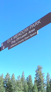  Photo Credit Denver Excursions --Elk Meadows Dog Park