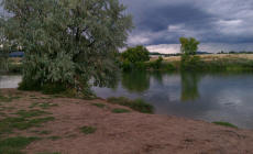 Ponds at Chatfield State Park