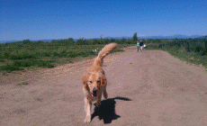 Cherry Creek Dog Park Enterance