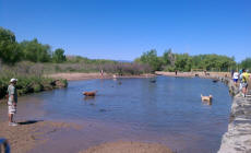 Cherry Creek Dog Park Pool Area