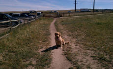 scooter near the entry to the dog park