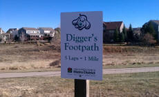 Great day at Digger's dog park