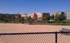 Stapleton Dog Park