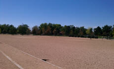 Stapleton dog park on a sunny denver day